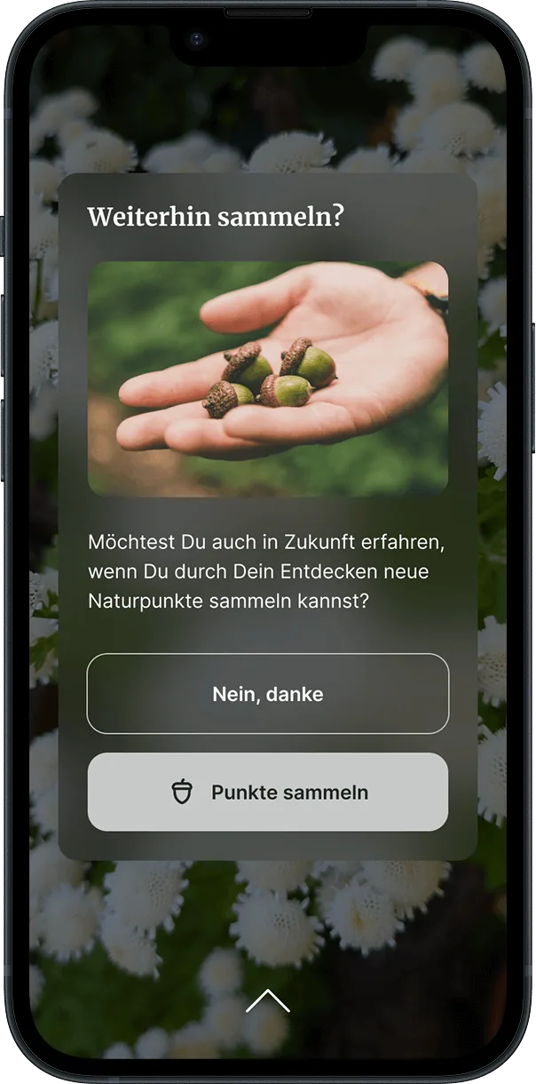 Weiterhin sammeln?